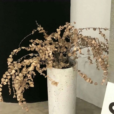 Furry绘画构图灵感福瑞群